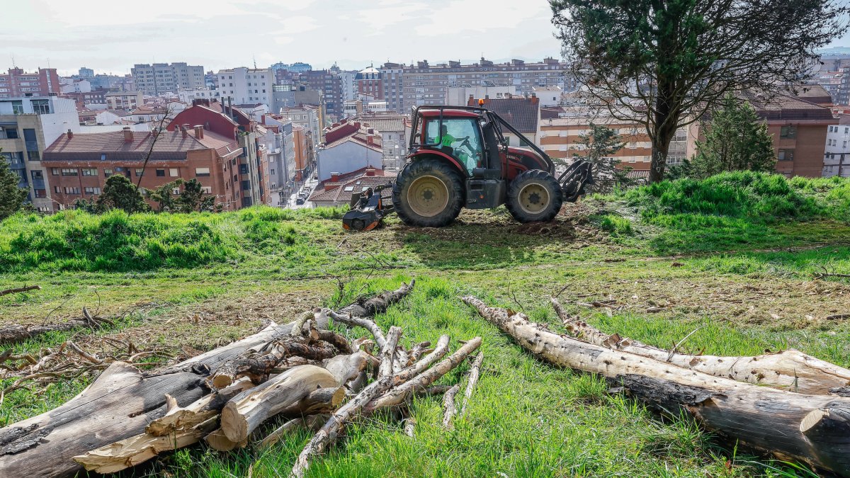 Trabajos de mantenimiento del Cinturón Verde de Burgos, en las cercanías de las Eras de San Francisco, en pleno cerro de San Miguel.