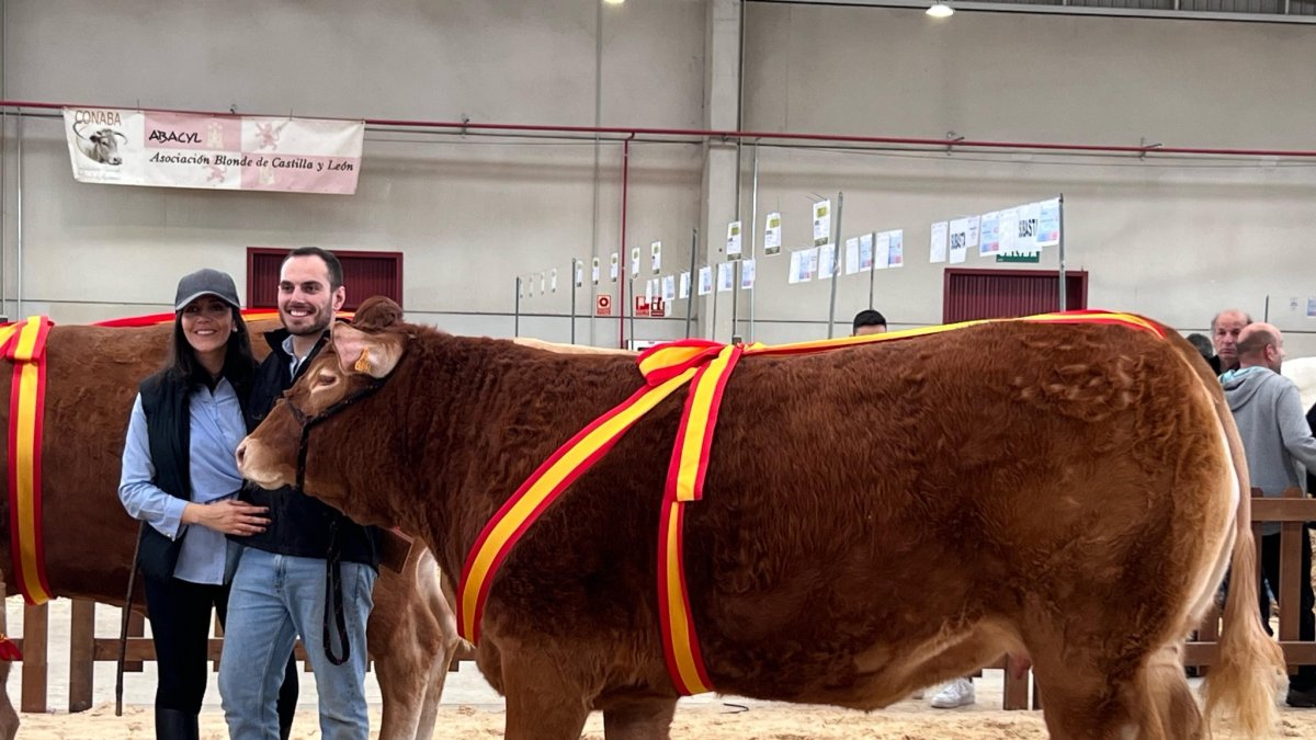 Aitor y Ana, de Granja el Arenón, con Úrsula, Campeona Joven de Castilla y León de raza limusina.