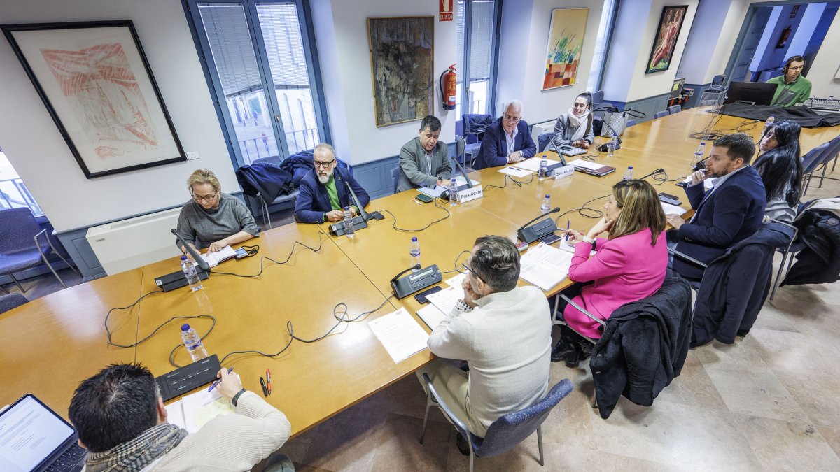 Primera sesión de la comisión de investigación del caso Prepay.