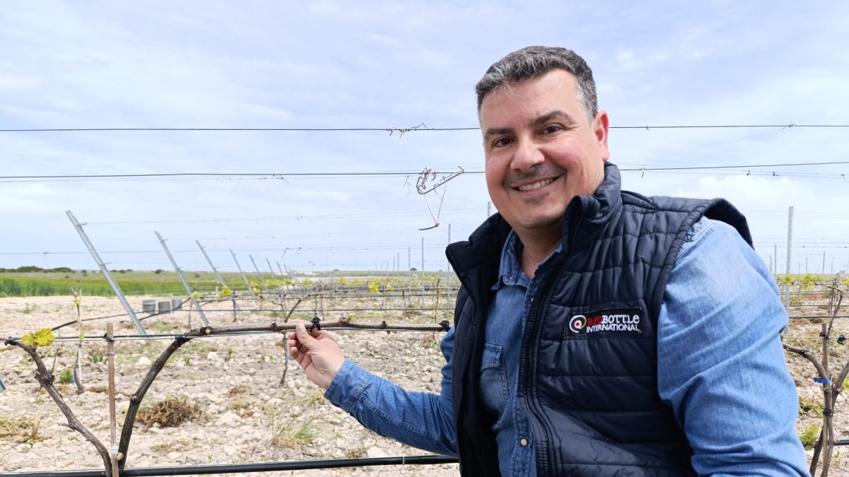 Óscar de Pablo en uno de los viñedos que gestiona