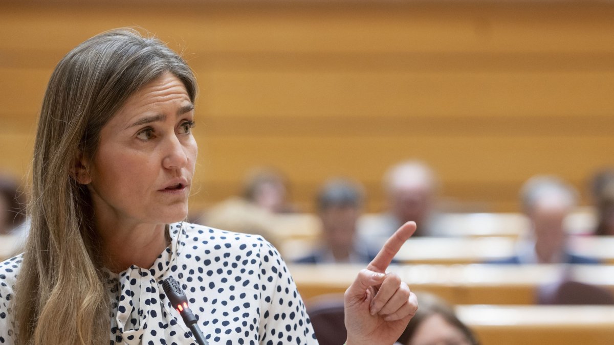 La vicepresidenta tercera del Gobierno y ministra para la Transición Ecológica y el Reto Demográfico, Sara Aagesen, interviene durante una sesión de control en el Senado, a 8 de abril de 2025, en Madrid (España).