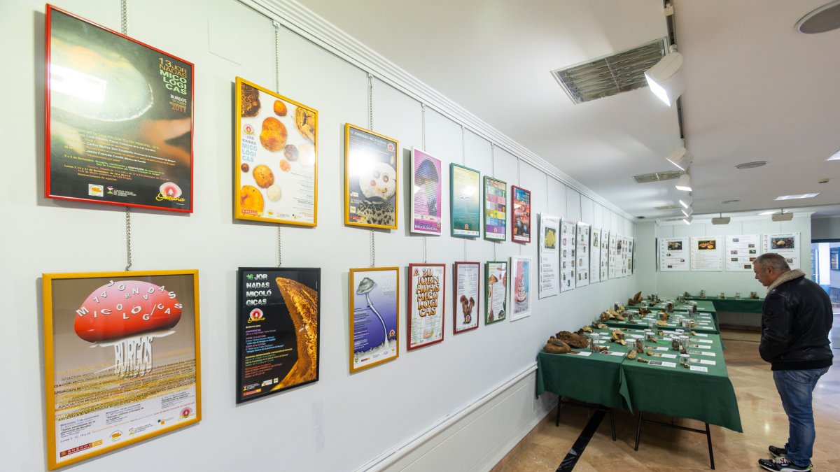 Hasta el 11 de mayo una muestra recorre la historia de Gatuña y acerca los ejemplares que atesoran en su sede.