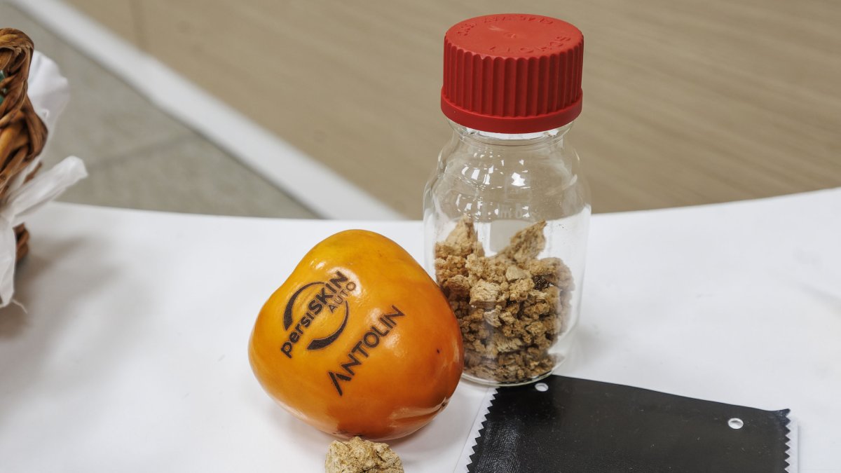 El caqui es la fruta que se convierte en la materia prima que se solidifica para, luego transformarse en cuero vegetal.