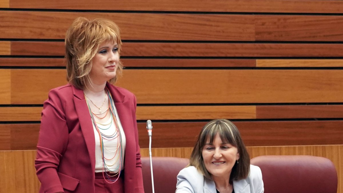 Eva Ceballos, procuradora del PSOE por Burgos