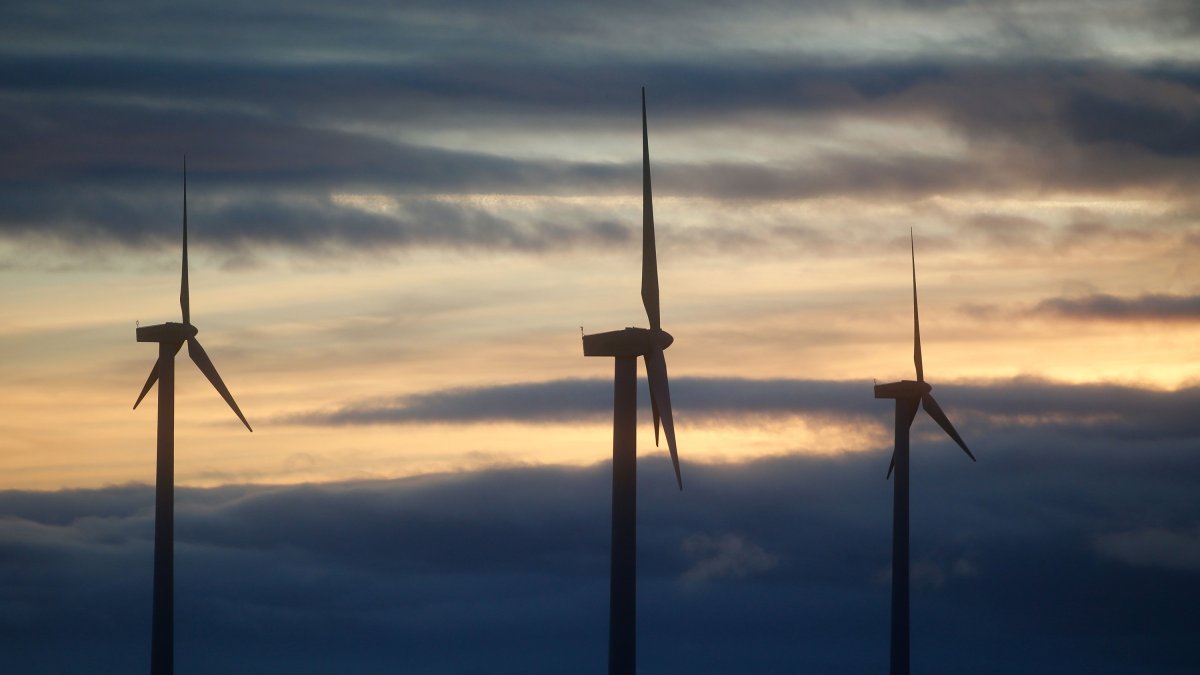 Archivo - Un parque eólico.