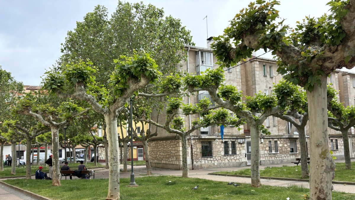 Edificios en Santa Catalina, donde los vecinos denuncian el aumento de casas ocupadas y piden medidas urgentes.
