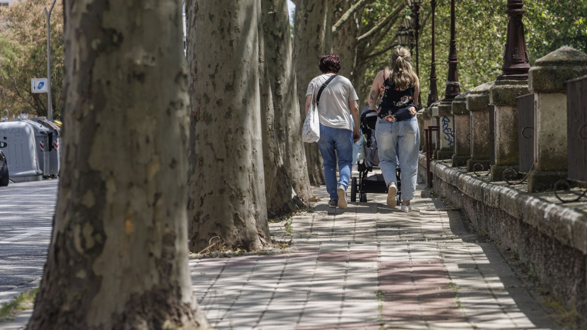 Acera deteriorada de la avenida Arlanzón, en el lado más cercano al río.