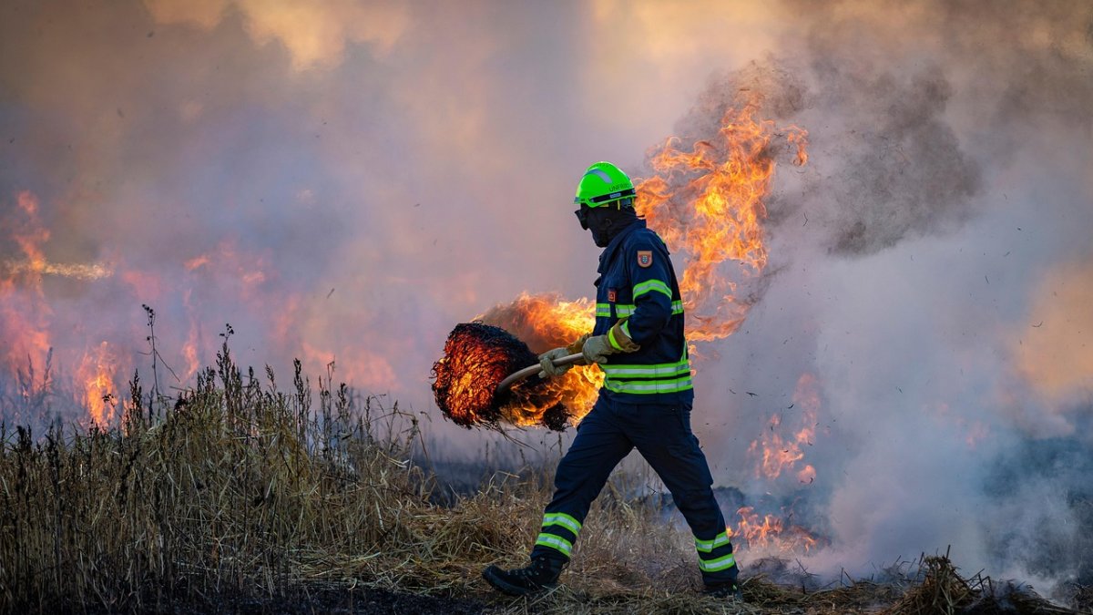 Imagen de un bombero en un incendio.