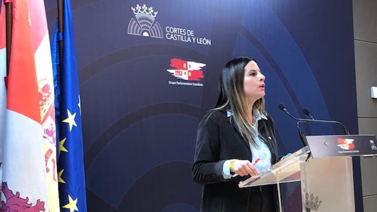 Archivo - La vicesecretaria general del PSOE de Castilla y León, Nuria Rubio.