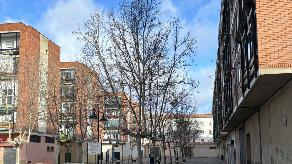 Barrio de Santa Catalina