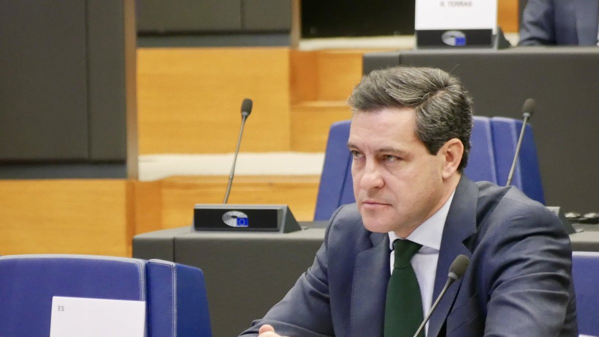 El eurodiputado del PP Raúl de la Hoz en una imagen de archivo.