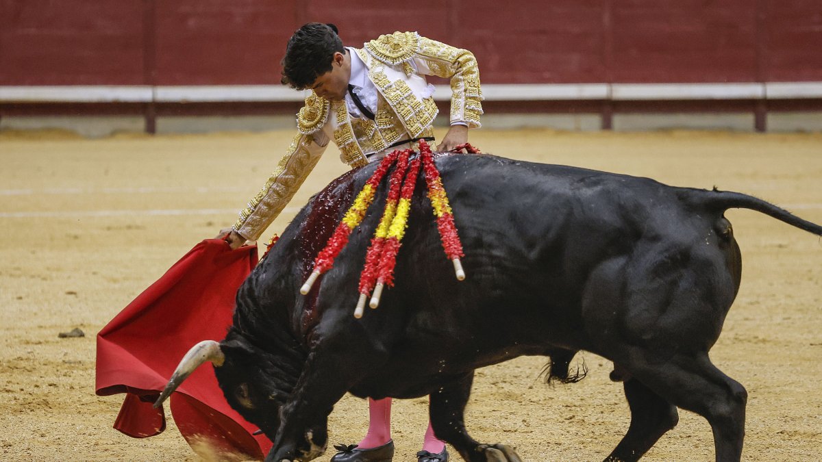 Imagen de 'Jarocho', en el Coliseum.