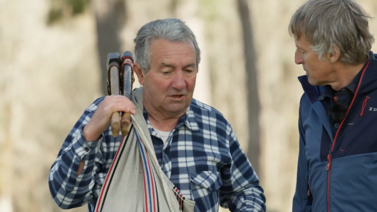 Imagen del programa.