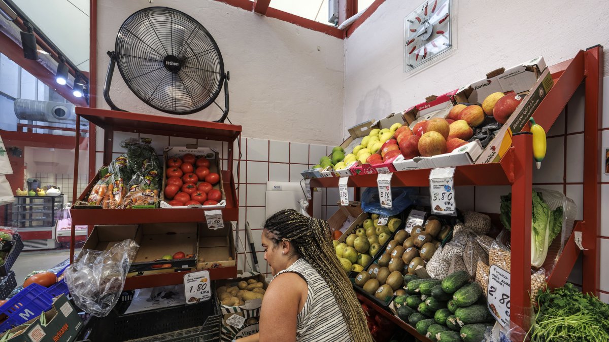 Burgos pierde autónomos en un semestre de crecimiento nacional