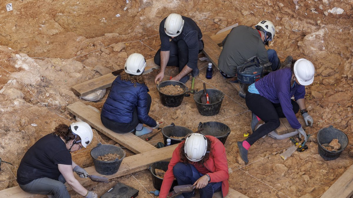El equipo que se acerca cada vez más al Estrato Aurora de Homo antecessor termina de procesar la letrina de hienas en estos días.