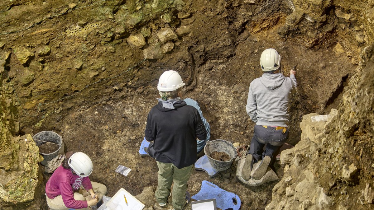 Trabajos en el yacimiento de Portalón de Cueva Mayor en Atapuerca.