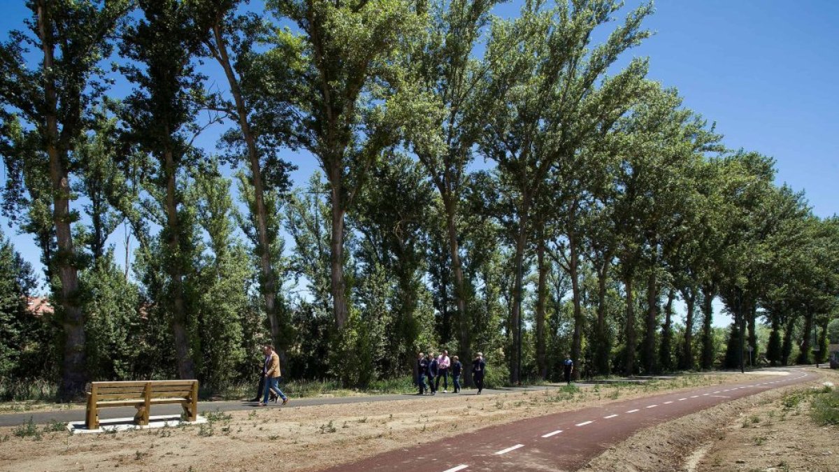 La ampliación del parque lineal del Vena, en su fase cuarta, es una de las últimas intervenciones medioambientales en esta zona.