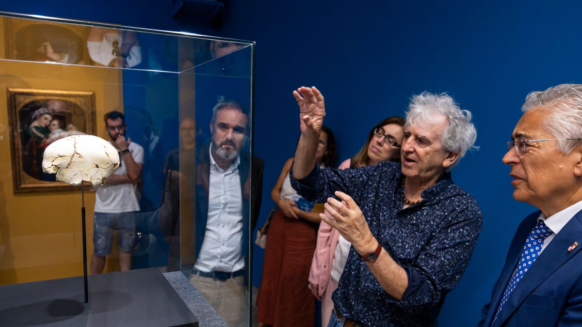 Arsuaga explica las peculiaridades del Cráneo 14, Benjamina, el primer caso de enfermedad rara detectado hace 400.000 años.