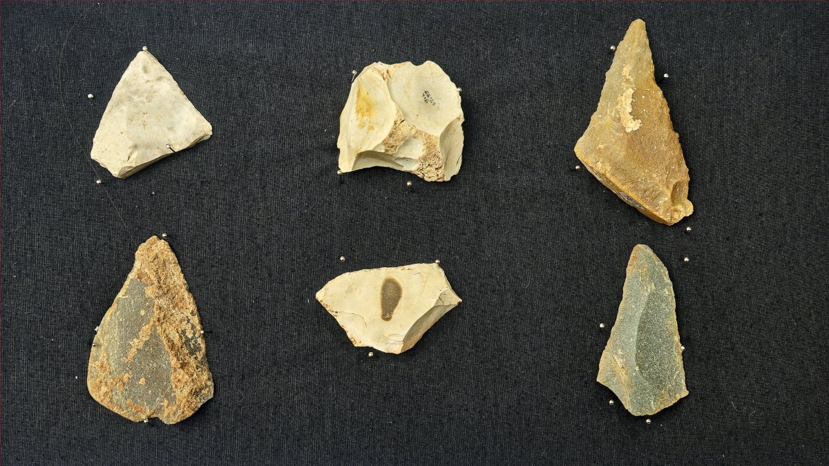 Colección neandertal recuperada en el taller musteriense de Estatuas Exterior.