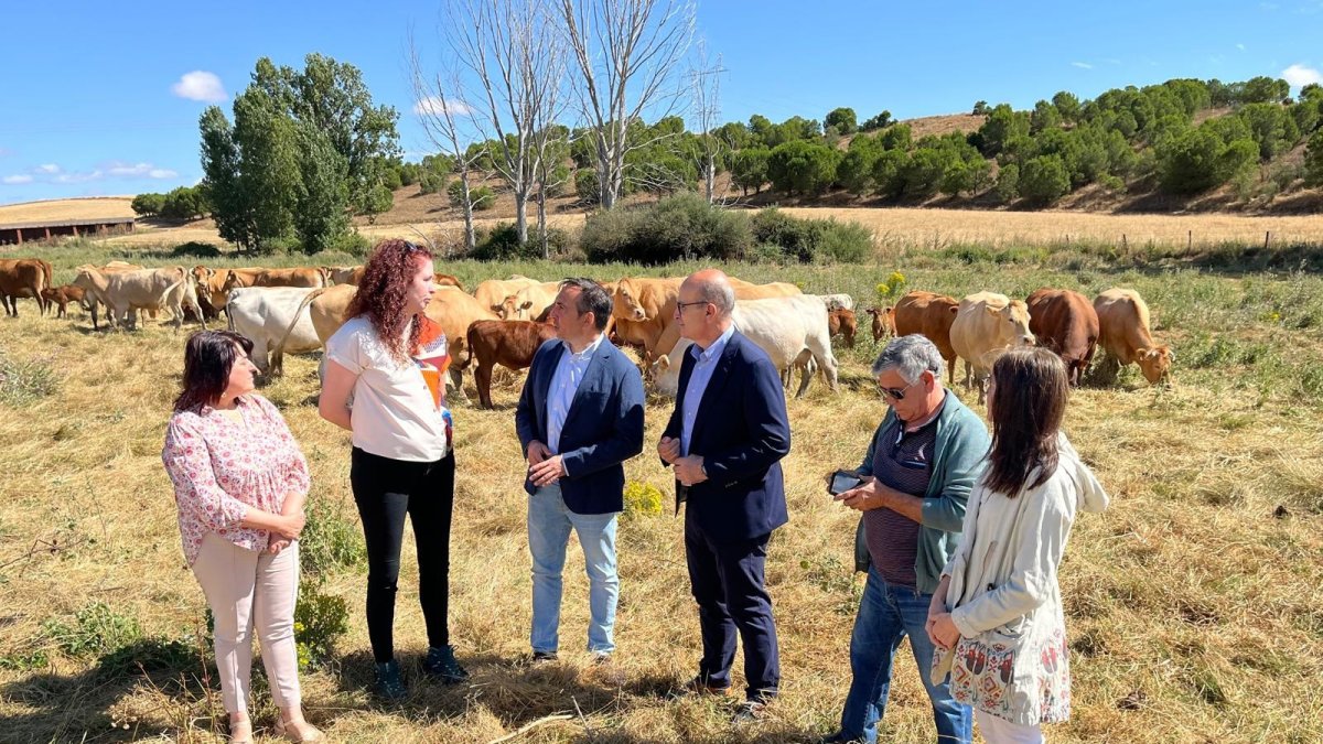 El director general de Desarrollo Rural de la Consejería, Jorge Izquierdo, durant su visita al municipio de Moreruela de los Inanzones, Zamora.