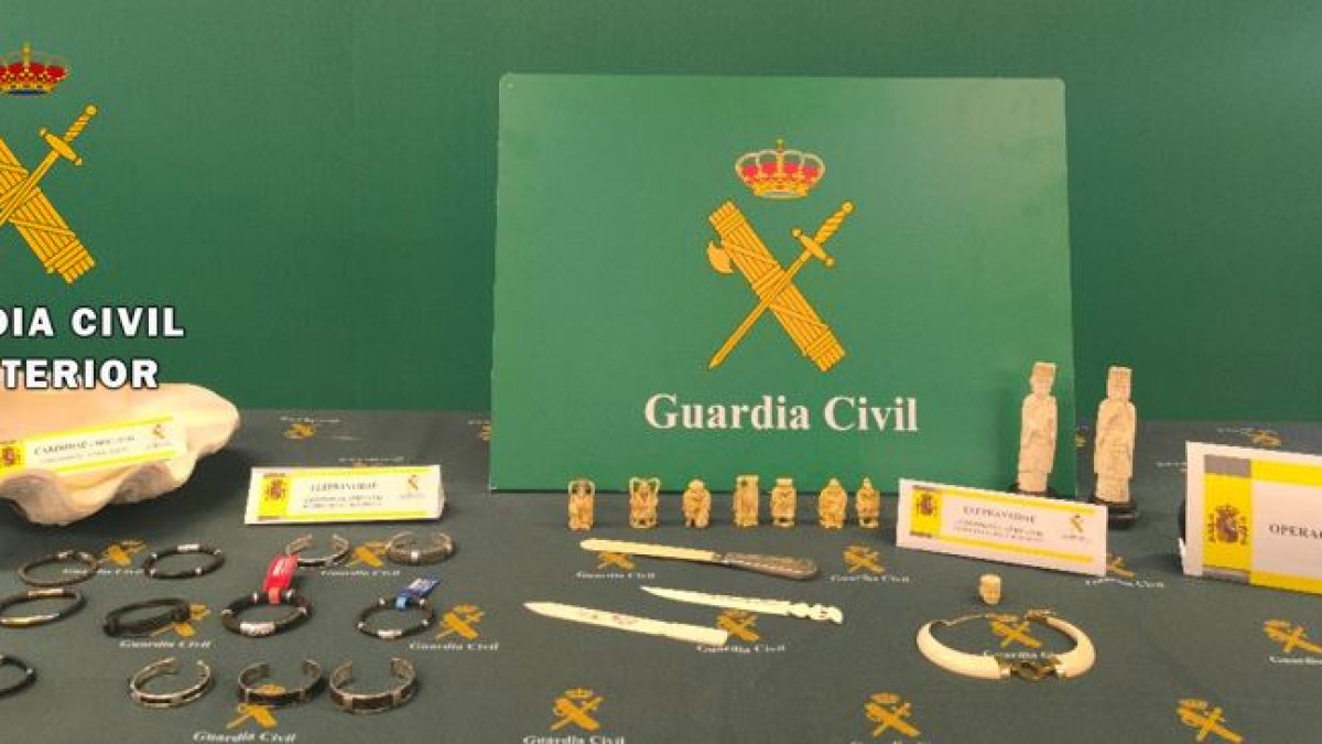 Material incautado a los investigados.