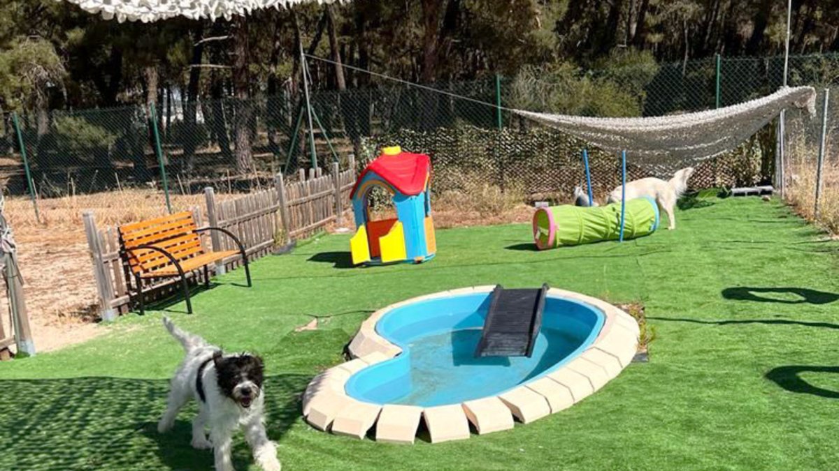 Centro Canino Las Cortes.