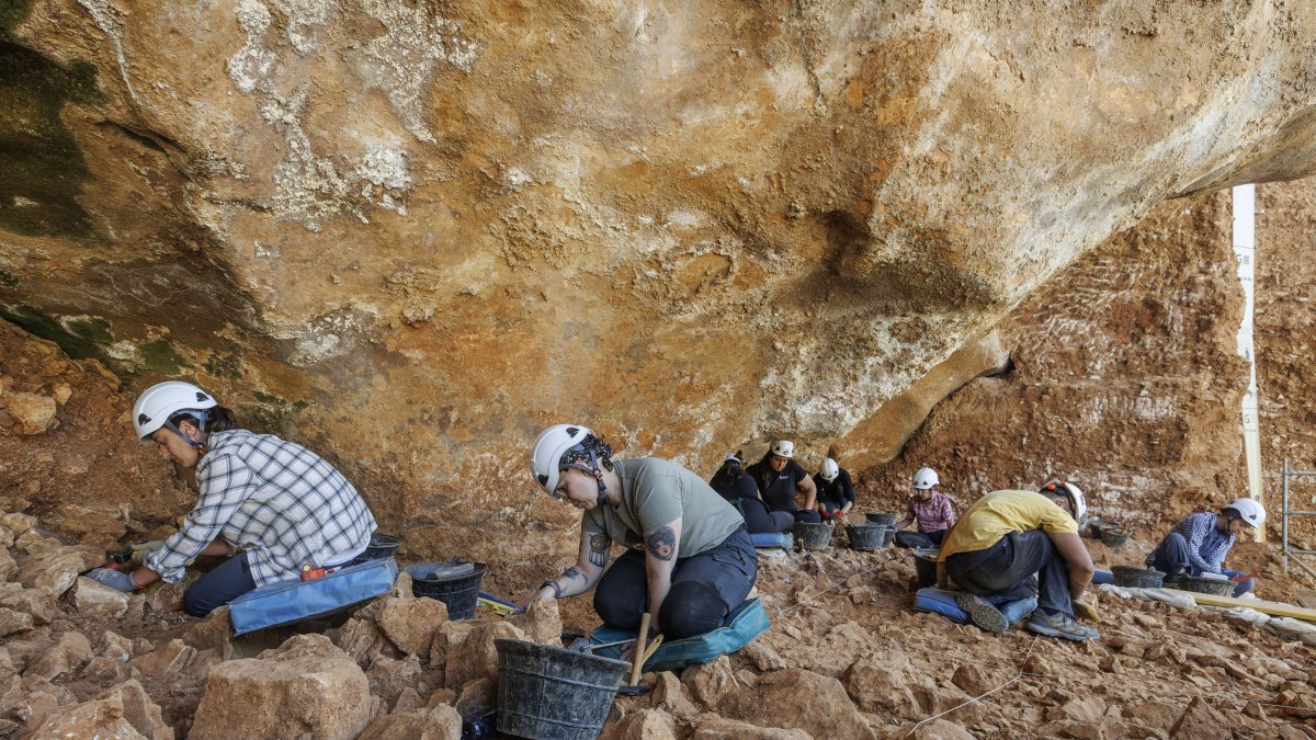 Un grupo de unos 12 excavadores trabajando este año en la superficie de Galería.
