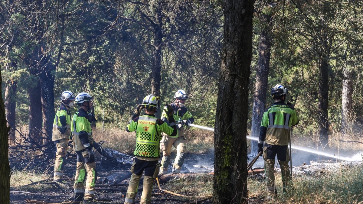 Un grupo de bomberos trabaja en la extinción del fuego en el Castillo.