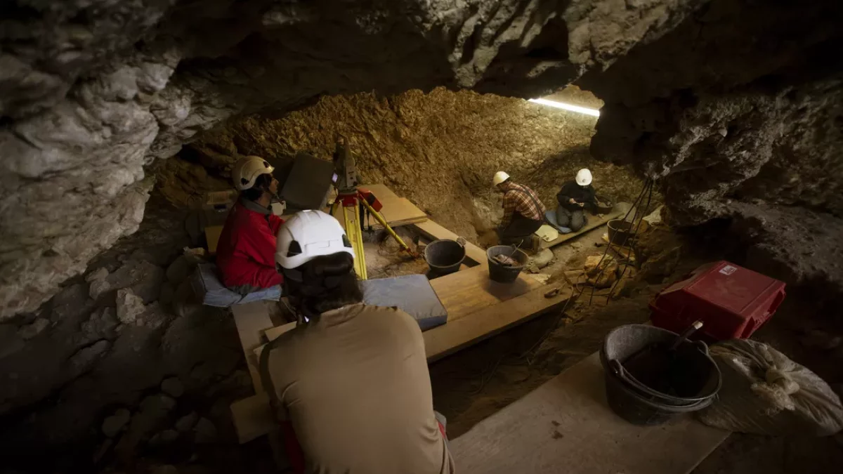 Imagen de excavaciones en Mirador.