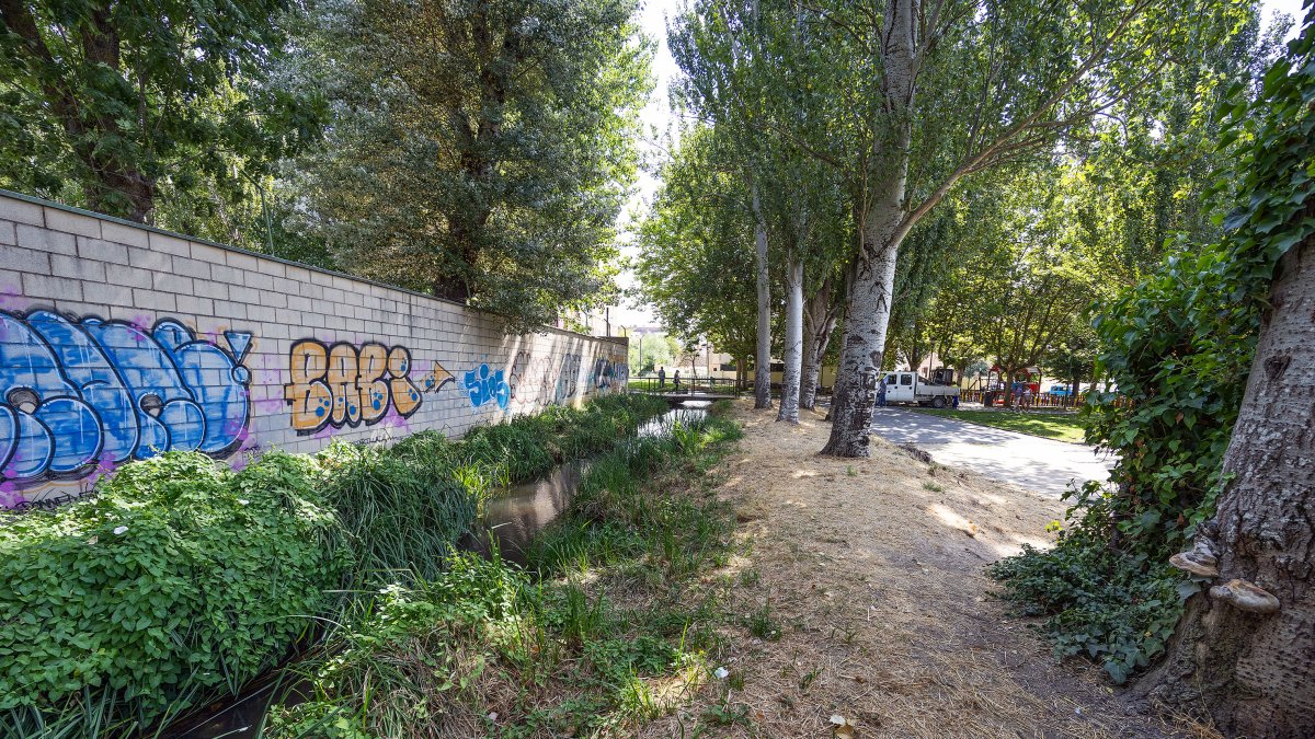 Estado actual de la zona que se quiere rehabilitar.