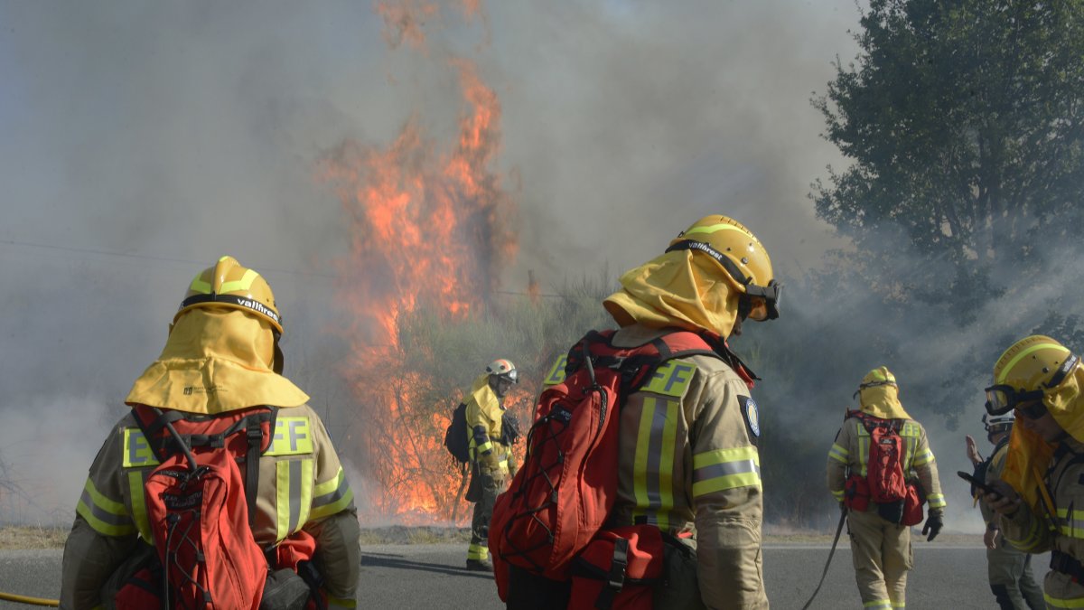 Archivo - Varios bomberos tratan de apagar el fuego durante el incendio forestal en la parroquia de Oseira, a 20 de agosto de 2024, en San Cristovo de Cea, Ourense, Galicia (España).
