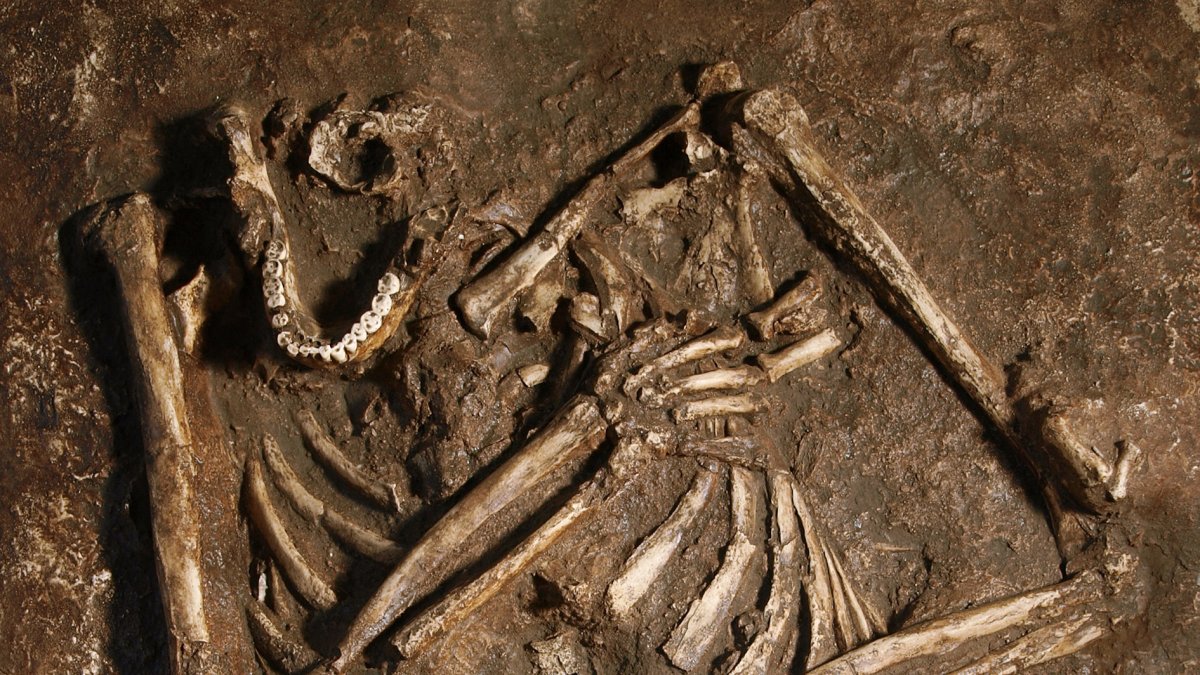 Réplica del esqueleto neandertal de Kebara 2.