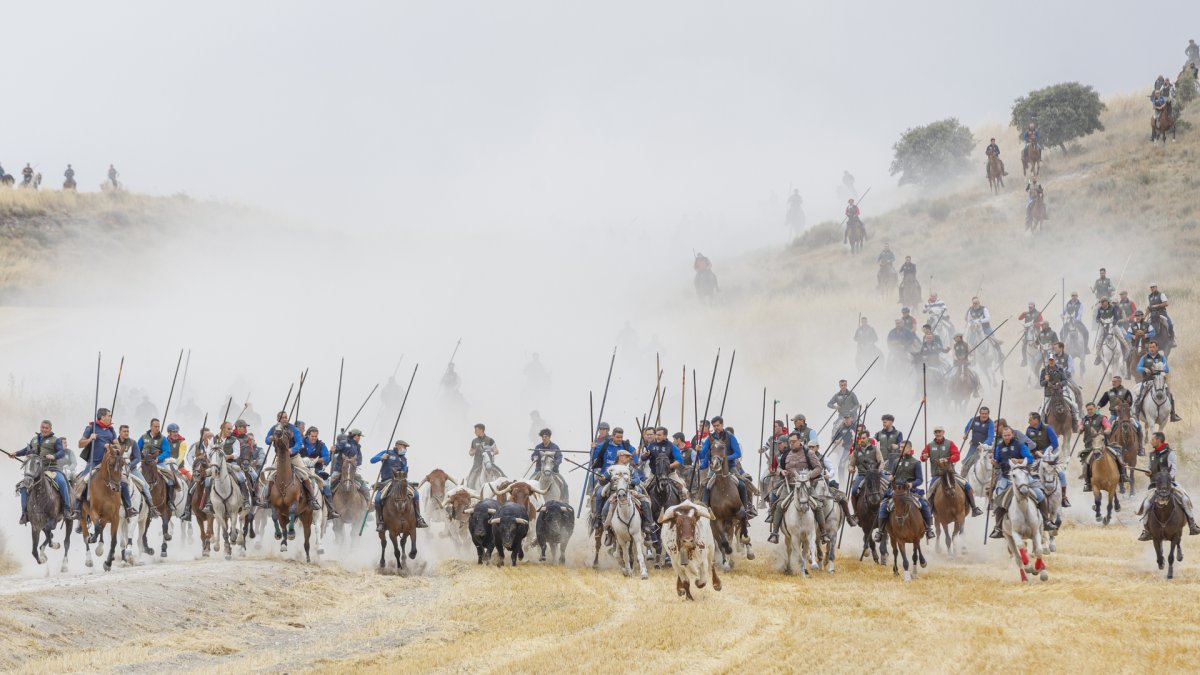 Primero de los encierros de las fiestas en honor a la Virgen del Rosario, con toros de la ganadería Araúz de Robles.
