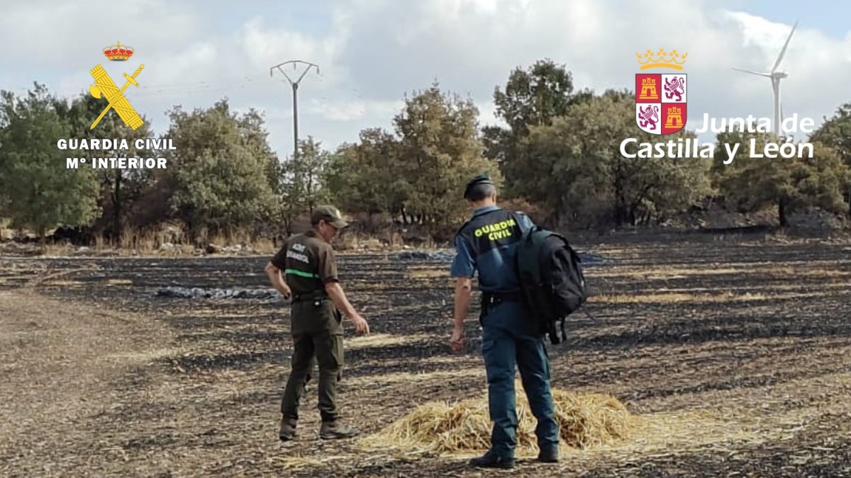 Un Guardia Civil y un agente medio ambiental inspeccionan la zona.