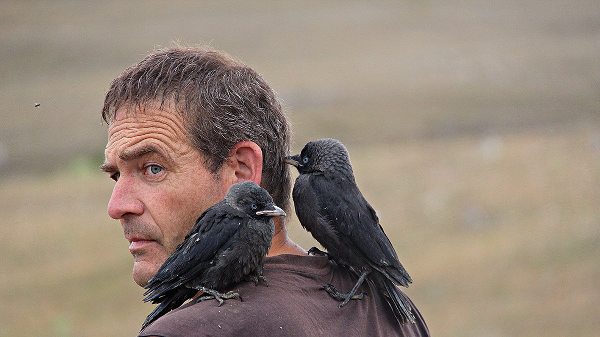El ilustrador y naturalista Nacho Zubelzu.
