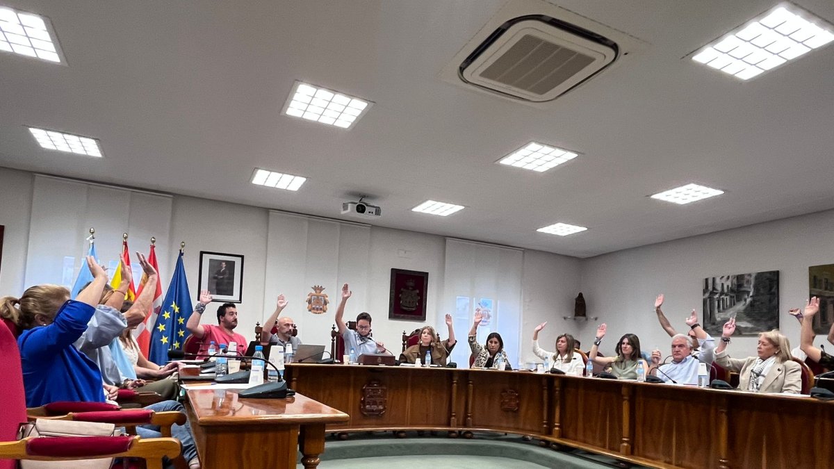 Imagen de la votación del Pleno extraordinario celebrado esta mañana