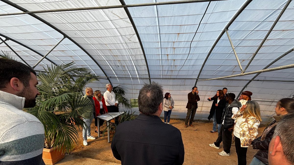 Entrega de diplomas a los alumnos del Programa de Empleo Coleverde.