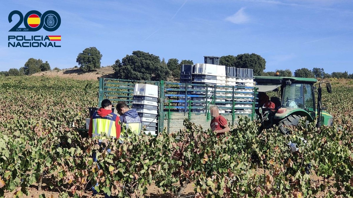Operativo de vigilancia en vendimia