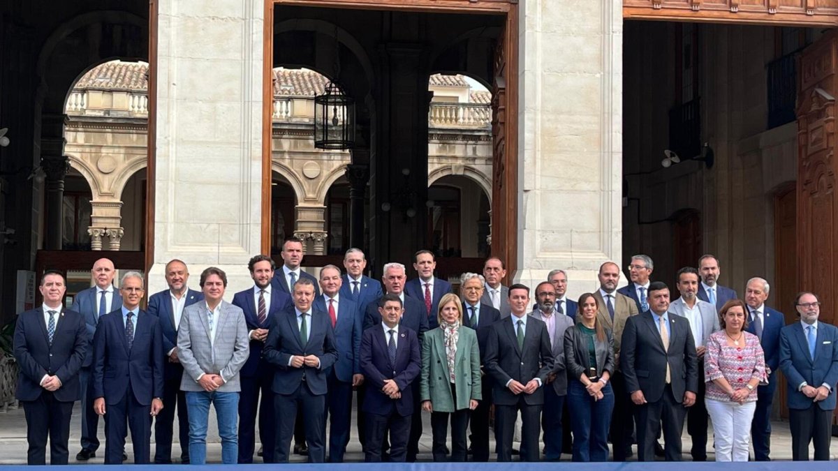 Reunión de la Comisión de Diputaciones de la Federación Española de Municipios y Provincias (FEMP), celebrada en Jaén. Participa el presidente de la Diputación de León, Gerardo Álvarez Courel.