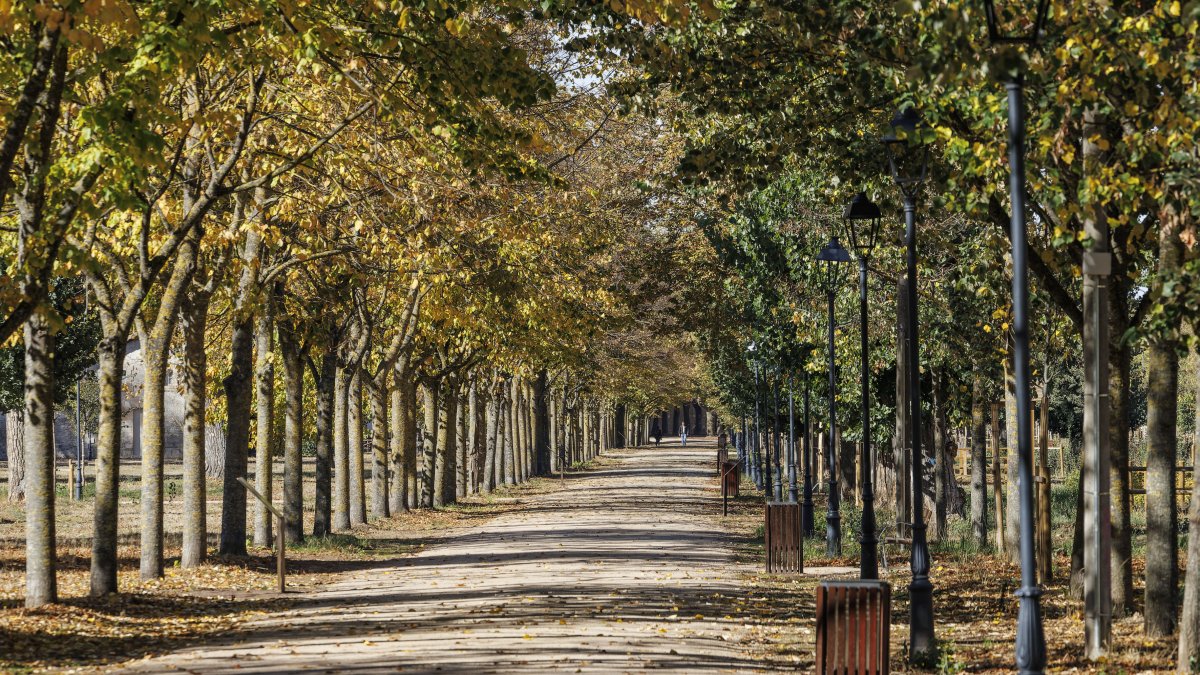 El parque del Parral luce este aspecto otoñal, recién reabierto al público.