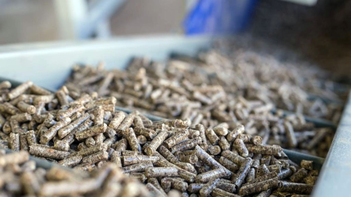 Producción de pellets.