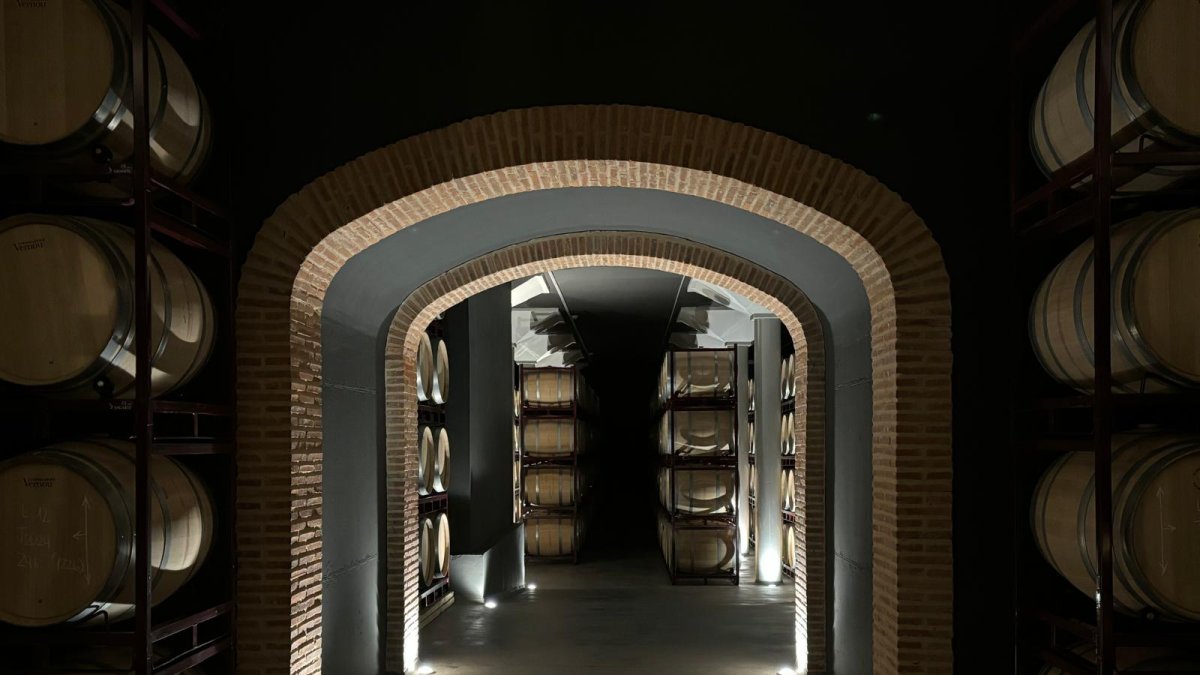 Sala de barricas de una bodega de Ribera del Duero