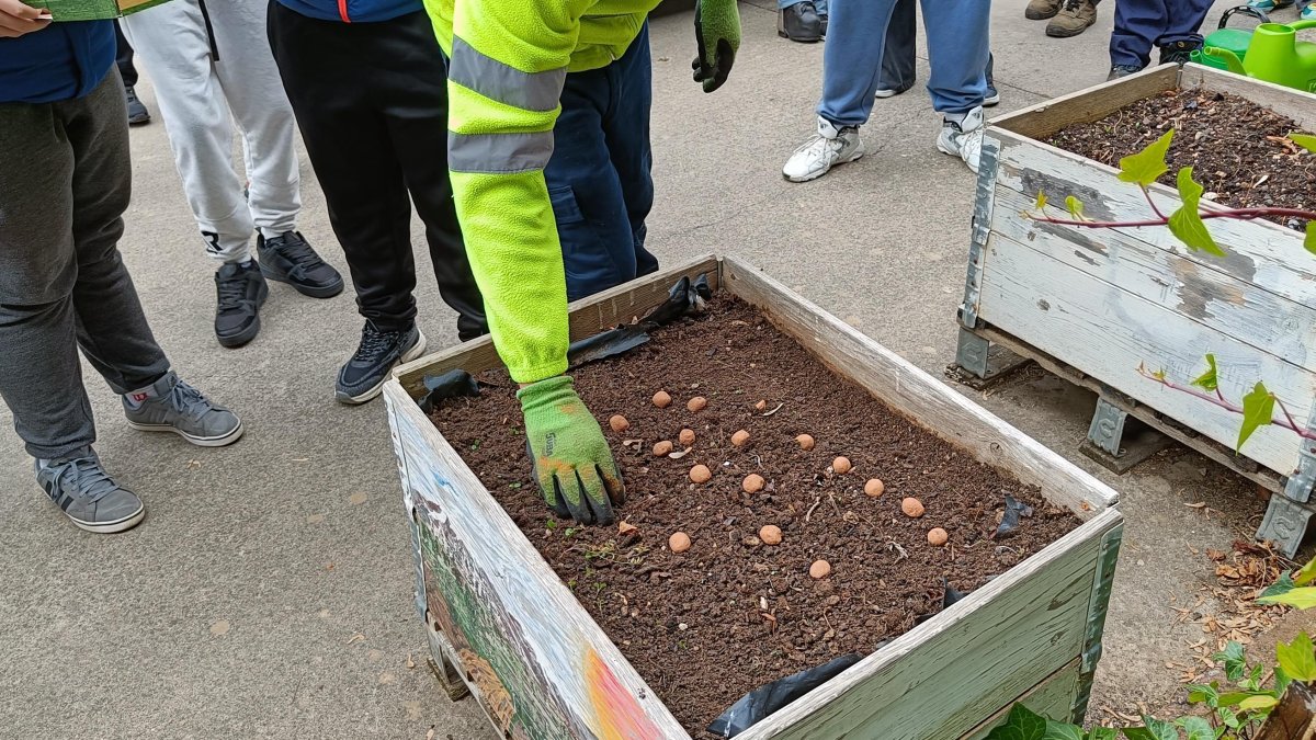 Imagen de una de las actividades.