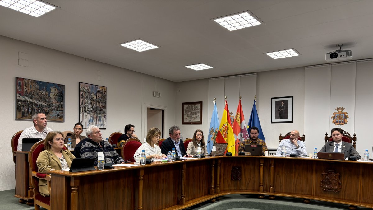 Imagen de un momento del pleno