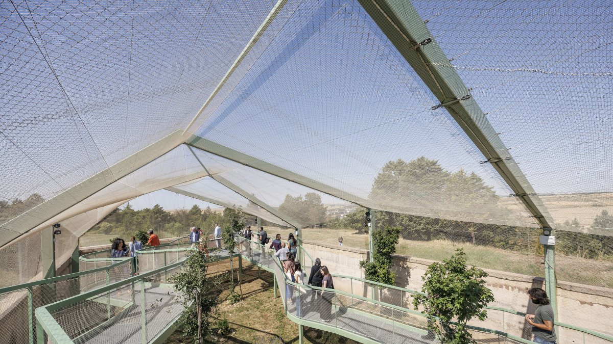 Paseo por el aviario, que permite contemplar algunas de las aves no recuperables que residen en el Centro de Biodiversidad de Burgos.