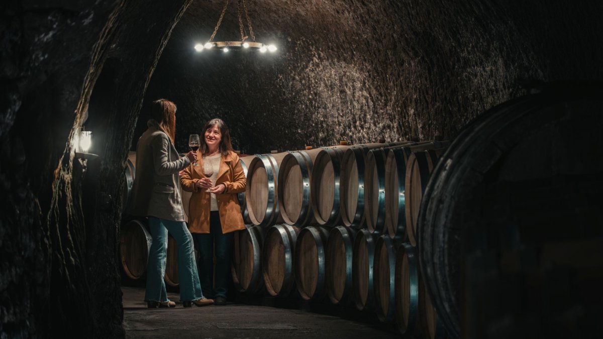 Ruta del Vino Ribera