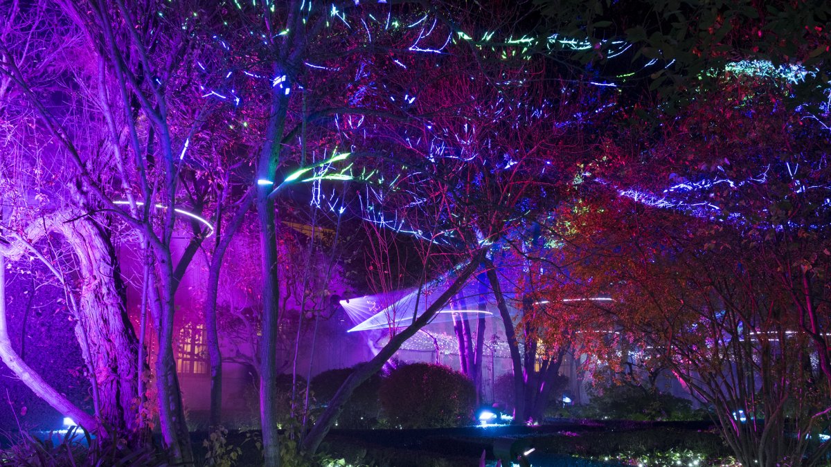 inauguración de la iluminación navideña del Huerto de Calixto y Melibea.