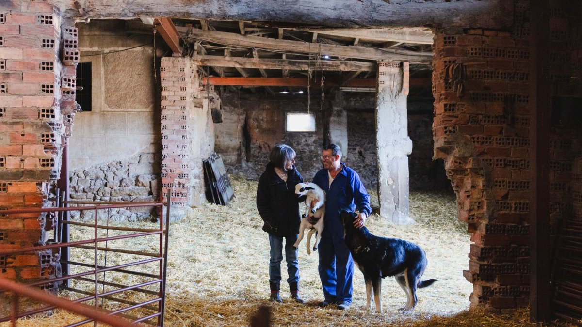Marca de calidad IGP Lechazo de Castilla y León, en Cubillo de Ojeda.