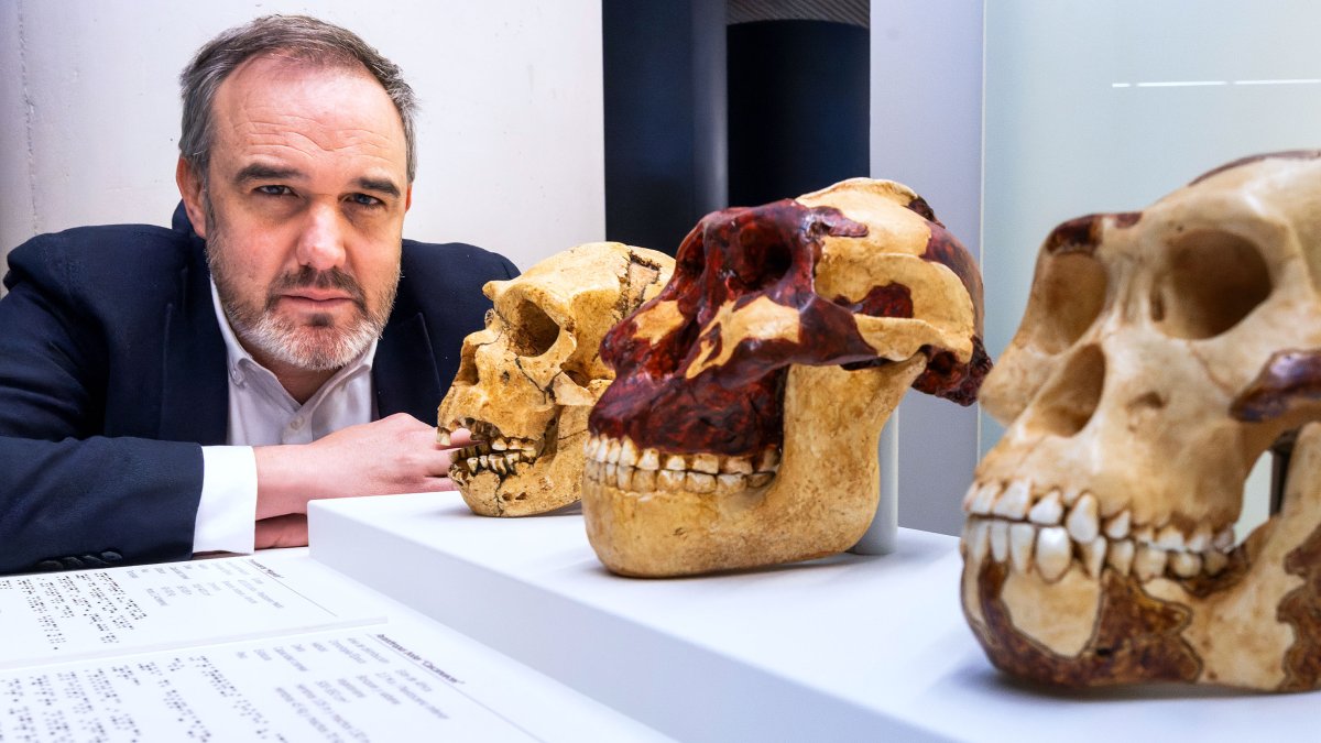 El director gerente del Museo de la Evolución Humana, Rodrigo Alonso, junto a la consola de material didáctico adaptada a personas ciegas.