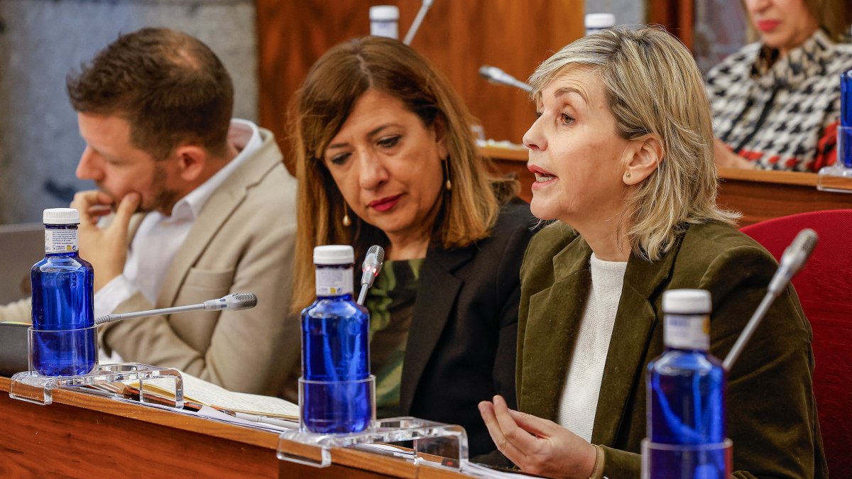 Un momento de una intervención de la concejala Sonia Rodríguez en el Pleno ordinario de enero en el Ayuntamiento de Burgos.